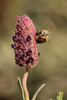 photo thumbnail #15