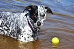 photo thumbnail #5