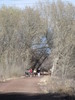 photo thumbnail #4