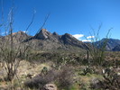 photo thumbnail #1