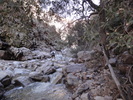 photo thumbnail #10