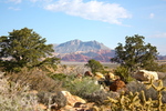 photo thumbnail #2