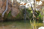 photo thumbnail #5