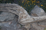 photo thumbnail #8