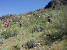 photo thumbnail #11