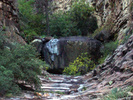 photo thumbnail #6
