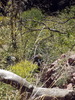 photo thumbnail #14