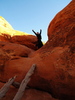 photo thumbnail #12