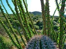 photo thumbnail #3