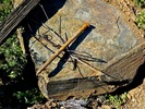photo thumbnail #12