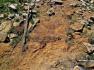 photo thumbnail #13
