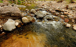 photo thumbnail #1