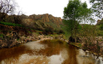 photo thumbnail #7