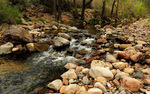 photo thumbnail #11