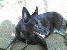 photo thumbnail #6