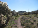 photo thumbnail #13