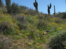 photo thumbnail #15