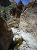 photo thumbnail #14