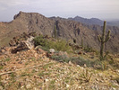 photo thumbnail #7