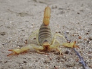 photo thumbnail #1