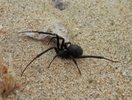photo thumbnail #5