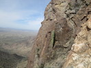 photo thumbnail #7