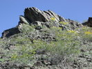 photo thumbnail #2
