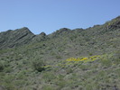 photo thumbnail #7