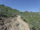photo thumbnail #8