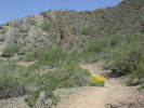 photo thumbnail #9