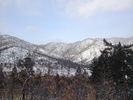 photo thumbnail #7