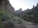 photo thumbnail #1