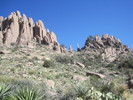 photo thumbnail #6