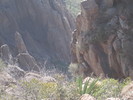 photo thumbnail #9