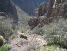 photo thumbnail #10