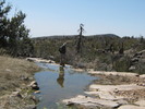 2013-03-23 :3: Rock Creek / Barnhardt Loop :: Tough_Boots