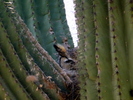 photo thumbnail #1