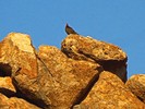 photo thumbnail #12