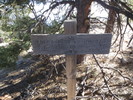 photo thumbnail #15