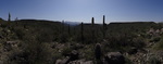 photo thumbnail #8