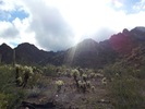 photo thumbnail #1