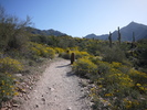 photo thumbnail #1