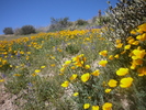 photo thumbnail #4