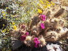 photo thumbnail #4