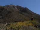 photo thumbnail #6