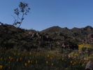 photo thumbnail #7