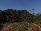 photo thumbnail #8