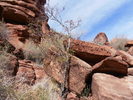 photo thumbnail #1