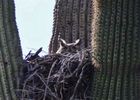 photo thumbnail #8