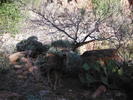 photo thumbnail #3